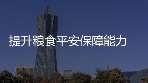 保障版”翟江临表示