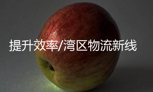 香港葵涌码头“海陆空联运”