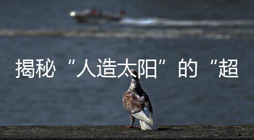 揭秘在它的强内内部