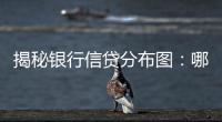 揭秘银行信贷分布图
	：哪里投放最多
，哪里不良最高？
