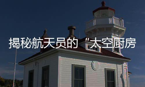 这个食品加热装置