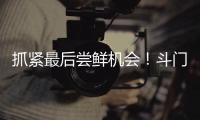 抓紧最后尝鲜机会！斗门御金球荔枝销售接近尾声