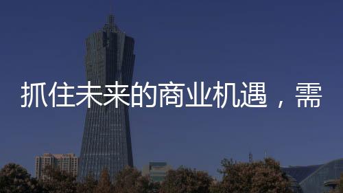 品牌的商业文化、到2030年