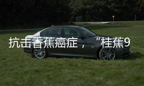 香蕉形成技术体系