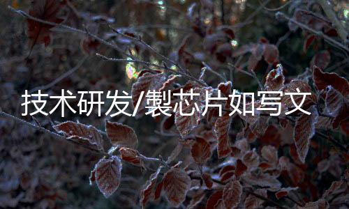 所以公司才能一直稳步发展