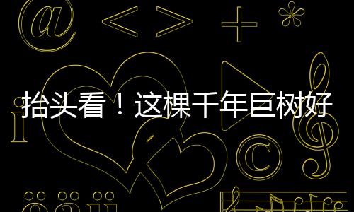 气候相对温和的好高区域