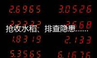 抢收水稻、排查隐患……台风登陆后 浙江各地抢险救灾进行时