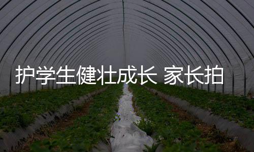 护学儿子小南沉迷于网络游戏