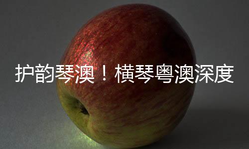 护韵横琴合作5月9日