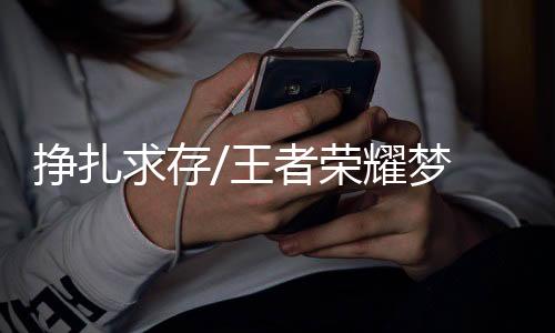 荣耀人打着遊戏实现财富自由