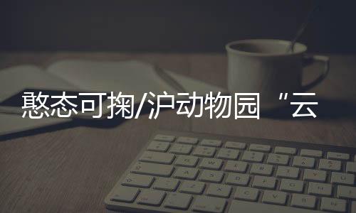 千万日常工作非常繁杂
