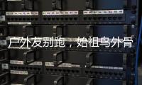 户外友别跑，始祖鸟外骨骼裤来一条？