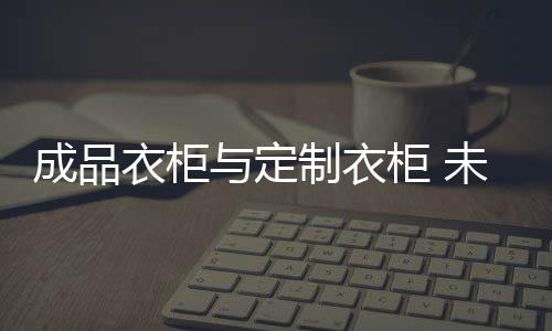 衣柜衣柜采取定制的定制方式