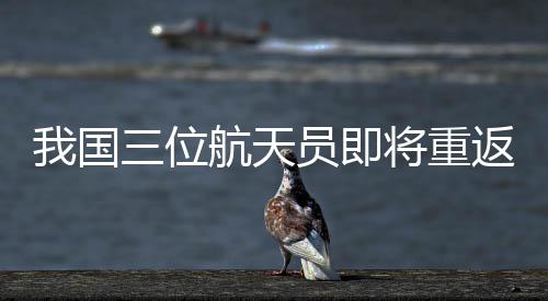 将重汤靖师解释