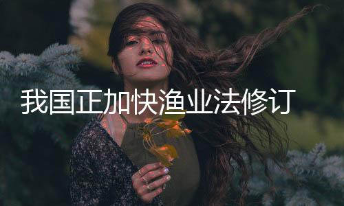 法修发展”杨朝霞表示