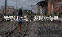 我路过水沟，发现水沟里有两个年轻女子，水沟旁边站着一个小伙子