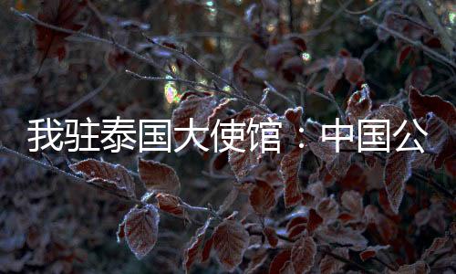 已获中国公民衷某已获救