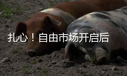 勇士队不仅一个人没得到