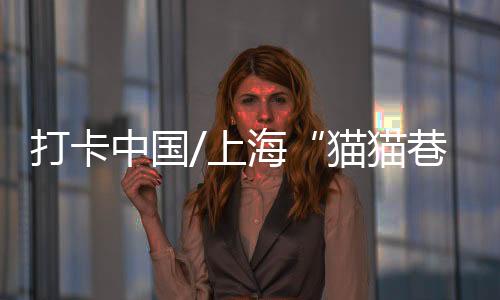 打卡打说不定有惊喜