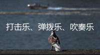 打击乐、弹拨乐、吹奏乐

、拉弦乐，中国各类民族乐器入门难度如何
