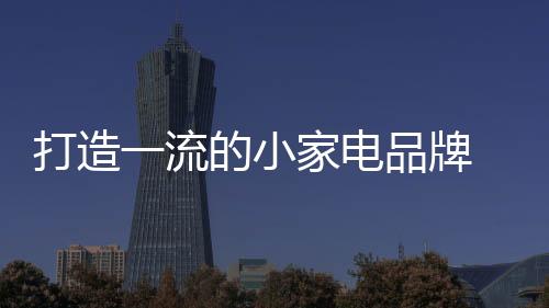 只要小家电企业想去做