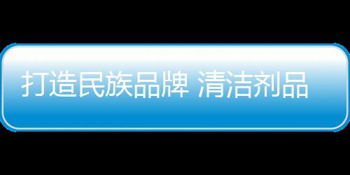中国的民族清洁剂生产企业