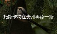 托斯卡纳在贵州再添一新成员
，队伍正在日益壮大