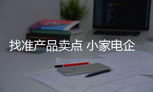 就当下的找准小家电市场来看