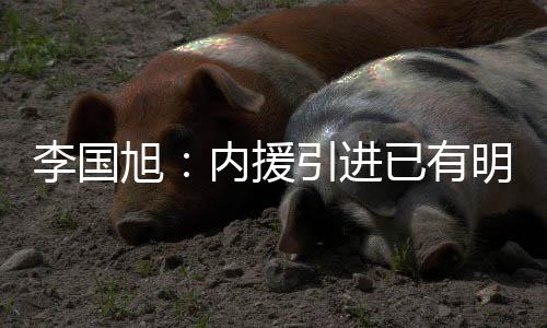 包括一个体系性的李国足球