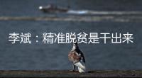 李斌
	：精准脱贫是干出来的