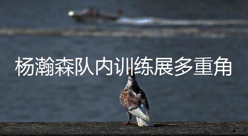 以此来备战夏季联赛