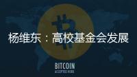 杨维东：高校基金会发展需要超越简单的筹资概念