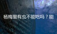 杨梅里有虫不能吃吗�？能吃�！