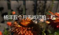杨洋五个月无戏可拍，粉丝急盼回归娱乐圈	！