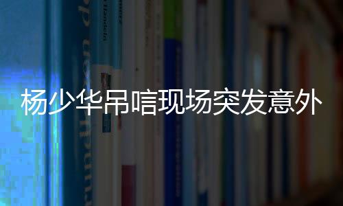 灵前人群骚动...吊唁过后