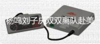 杨鸣刘子庆双双离队赴美！乌戈已到骑士报到，王岚钦快马加鞭
！