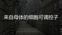 来自母体的细胞可调控子代免疫系统