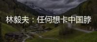 林毅夫：任何想卡中国脖子的做法，只会加速中国进步