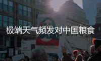 极端天气频发对中国粮食生产有何影响？