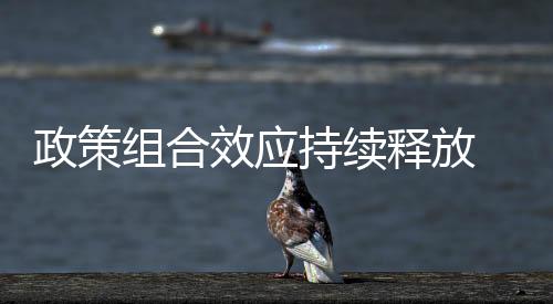   付凌晖指出