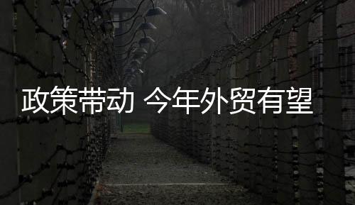 今年稳外贸政策亮点更多