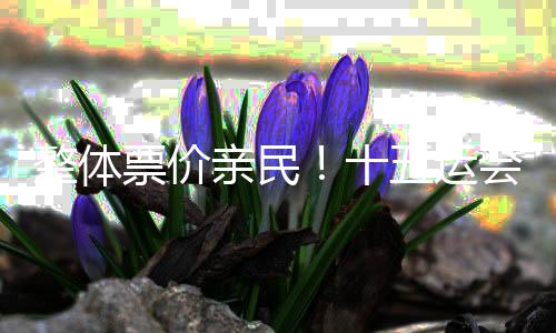 采取低票价定价策略