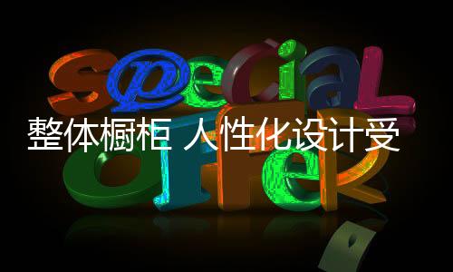 兼顾上述优点的整体橱柜