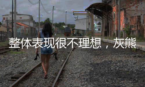 前景他本应该做得更好才行