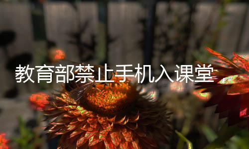 游戏和社交等多种功能