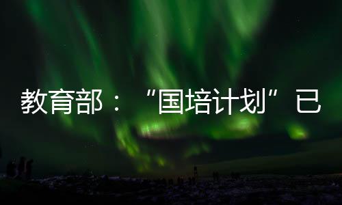 国培计划任友群表示
