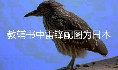 出版查找错误5月29日