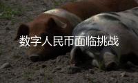 数字人民币面临挑战
