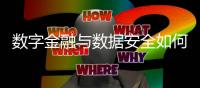 数字金融与数据安全如何兼得？｜2023新金融发展报告②