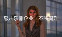 敲击乐器企业	：不断提升自身 将大数据转化为竞争优势